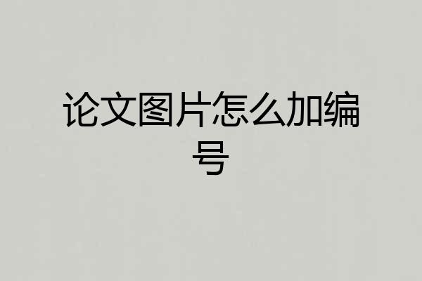 论文图片怎么加编号