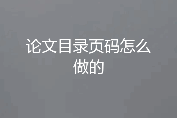 论文目录页码怎么做的