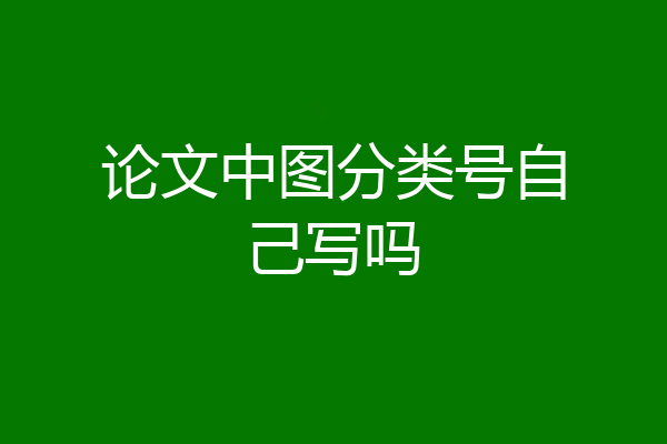 论文中图分类号自己写吗