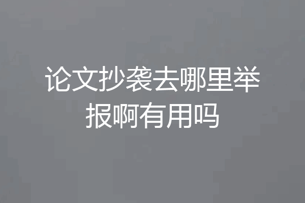 论文抄袭去哪里举报啊有用吗