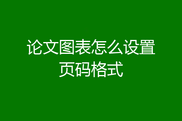 论文图表怎么设置页码格式