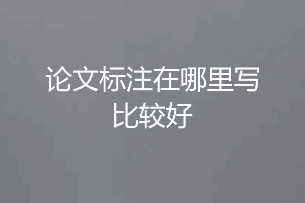 论文标注在哪里写比较好