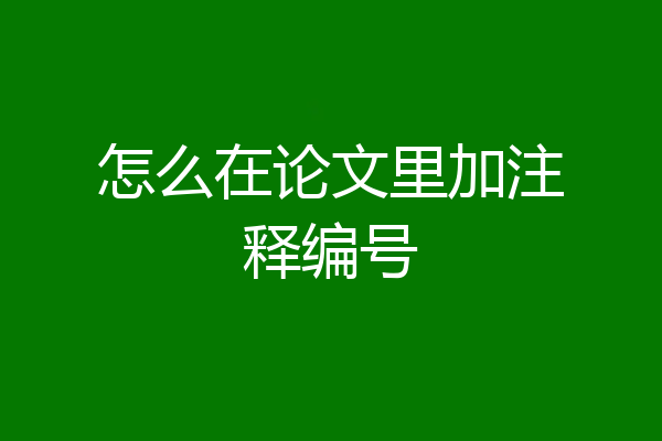 怎么在论文里加注释编号