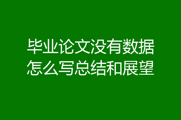 毕业论文没有数据怎么写总结和展望