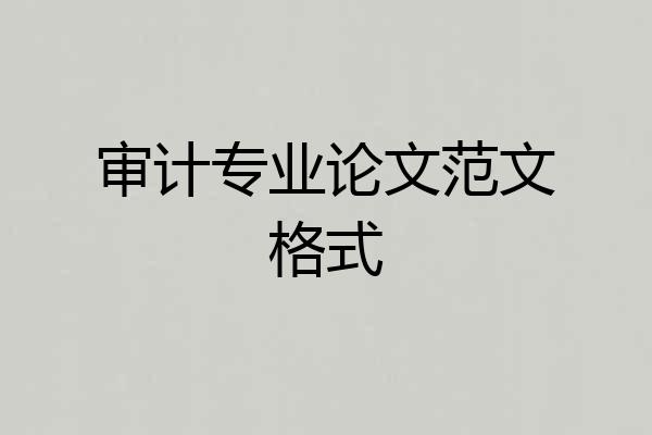 审计专业论文范文格式
