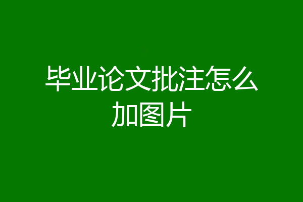 毕业论文批注怎么加图片