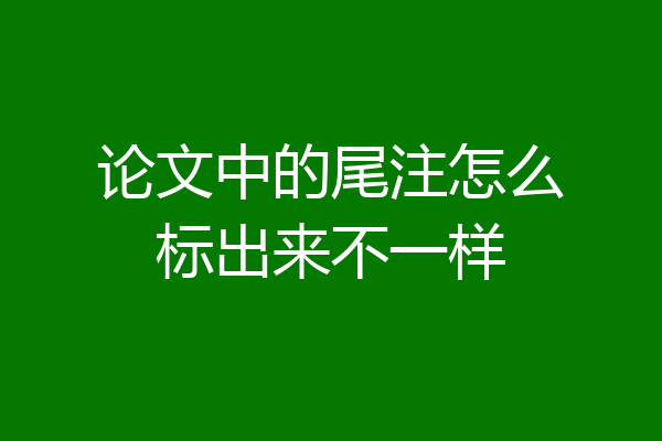 论文中的尾注怎么标出来不一样