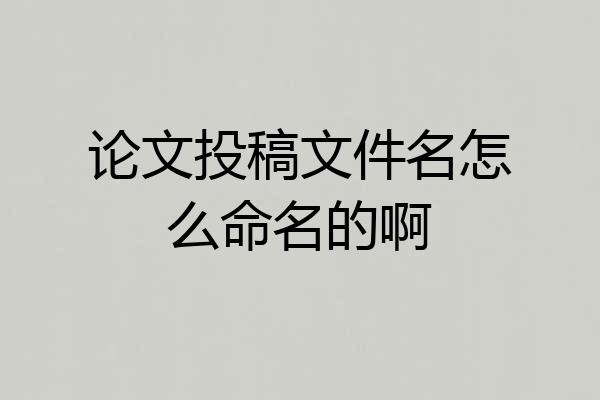 论文投稿文件名怎么命名的啊