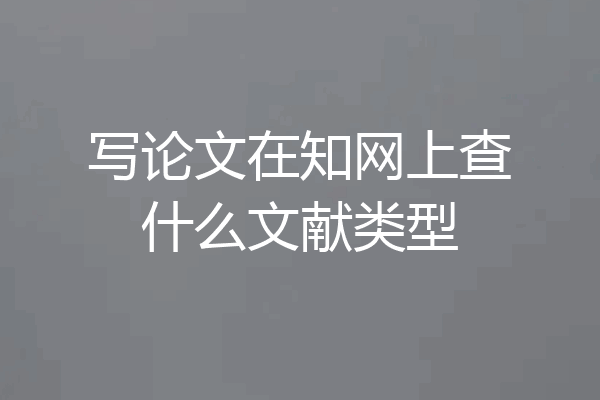 写论文在知网上查什么文献类型