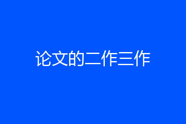 论文的二作三作
