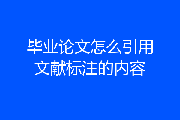毕业论文怎么引用文献标注的内容