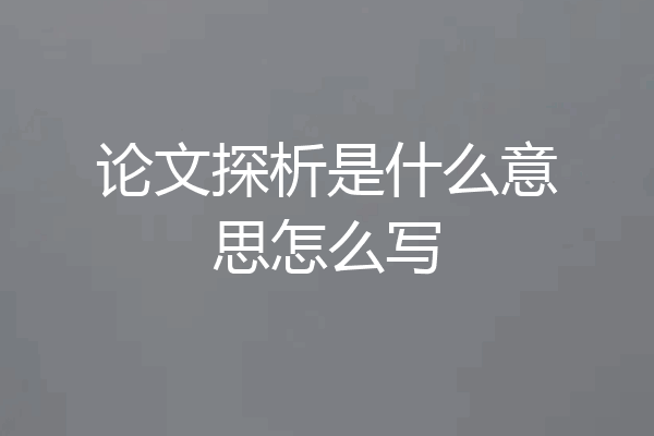 论文探析是什么意思怎么写