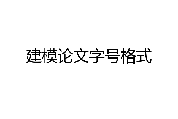 建模论文字号格式