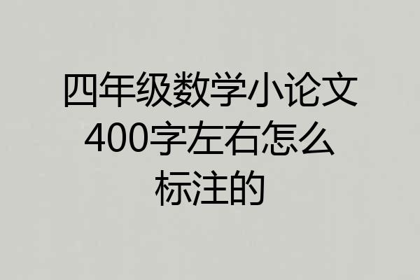 四年级数学小论文400字左右怎么标注的