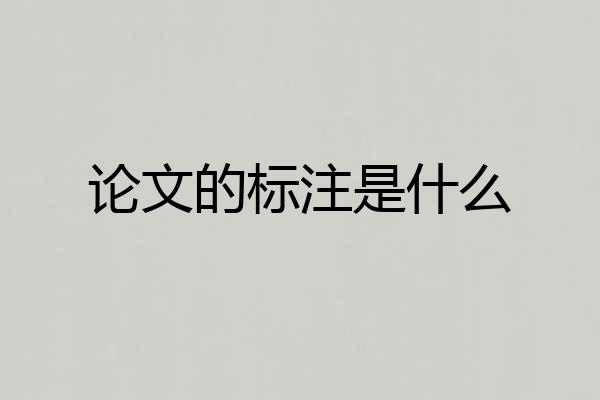 论文的标注是什么