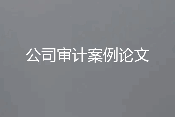 公司审计案例论文