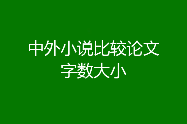 中外小说比较论文字数大小