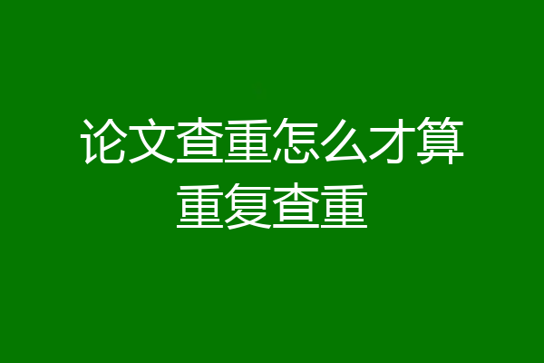 论文查重怎么才算重复查重