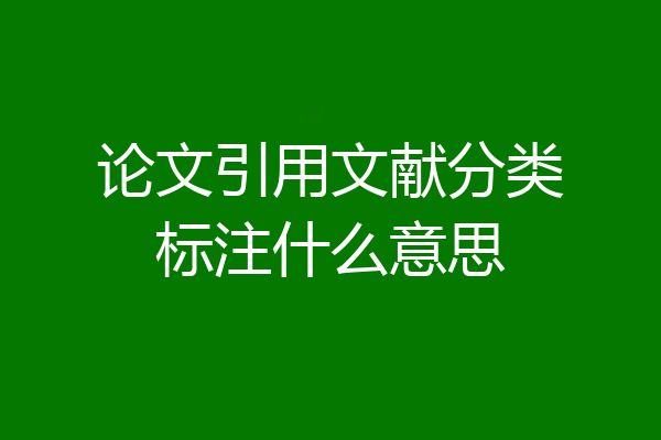 论文引用文献分类标注什么意思