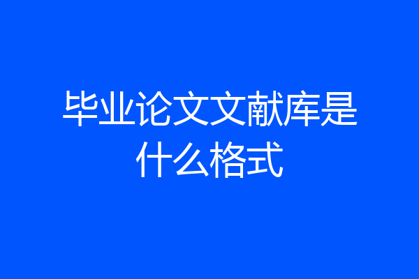 毕业论文文献库是什么格式