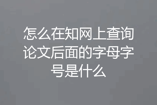 怎么在知网上查询论文后面的字母字号是什么