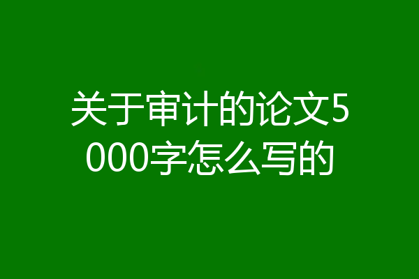 关于审计的论文5000字怎么写的