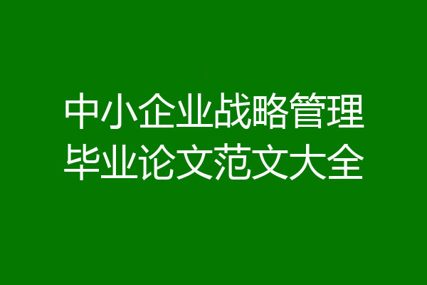 中小企业战略管理毕业论文范文大全