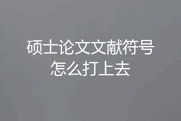 硕士论文文献符号怎么打上去