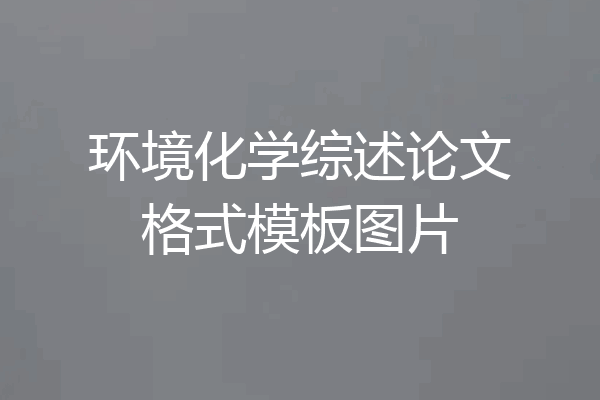 环境化学综述论文格式模板图片