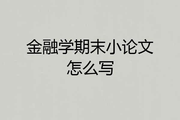 金融学期末小论文怎么写