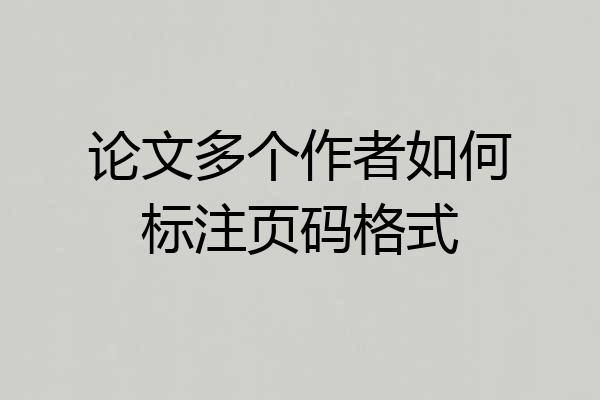 论文多个作者如何标注页码格式