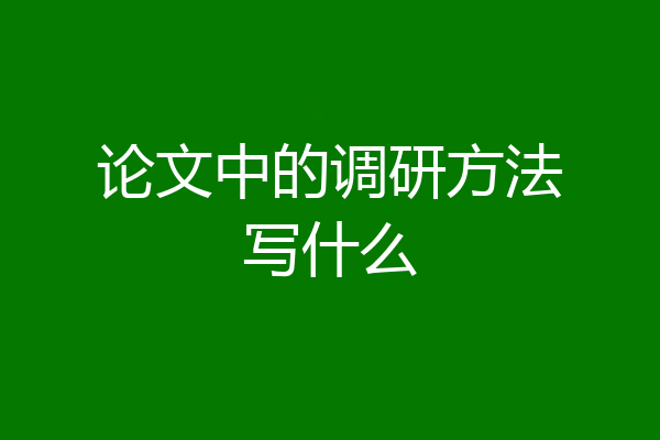 论文中的调研方法写什么