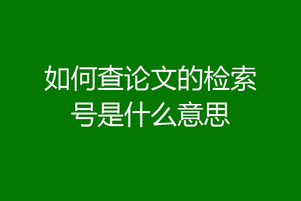 如何查论文的检索号是什么意思