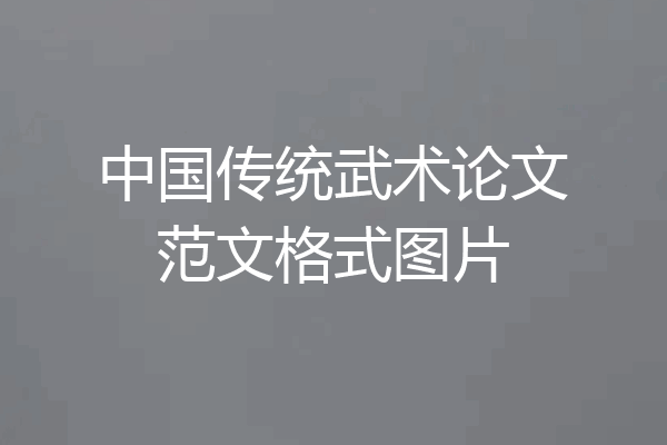 中国传统武术论文范文格式图片