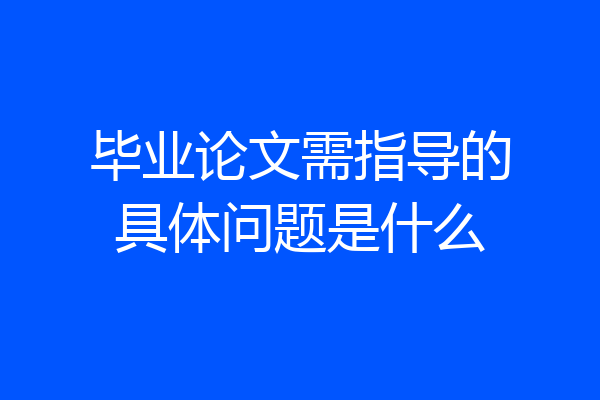 毕业论文需指导的具体问题是什么