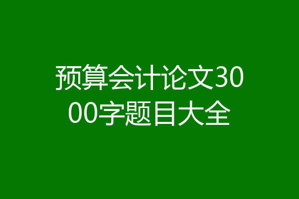 预算会计论文3000字题目大全