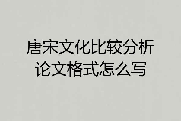 唐宋文化比较分析论文格式怎么写