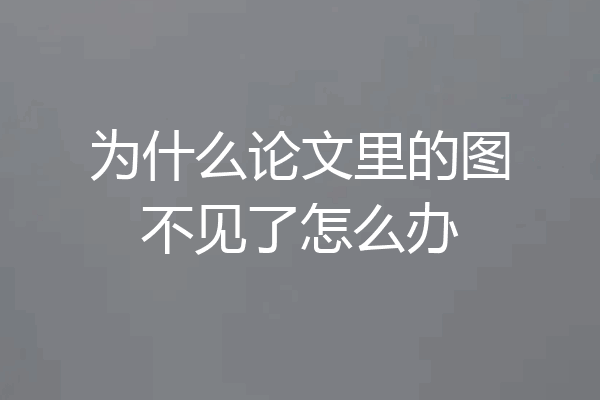 为什么论文里的图不见了怎么办