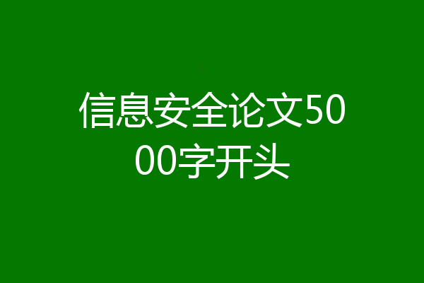 信息安全论文5000字开头