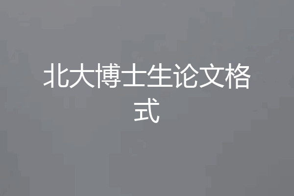 北大博士生论文格式