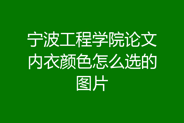 宁波工程学院论文内衣颜色怎么选的图片