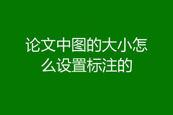 论文中图的大小怎么设置标注的