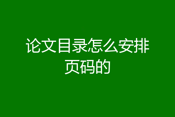 论文目录怎么安排页码的