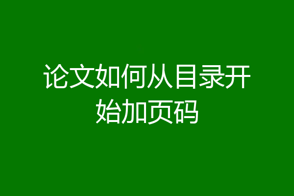 论文如何从目录开始加页码