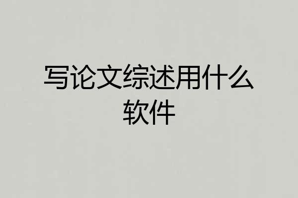 写论文综述用什么软件
