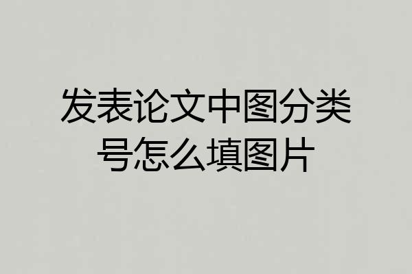 发表论文中图分类号怎么填图片