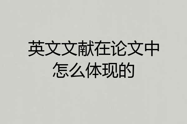 英文文献在论文中怎么体现的