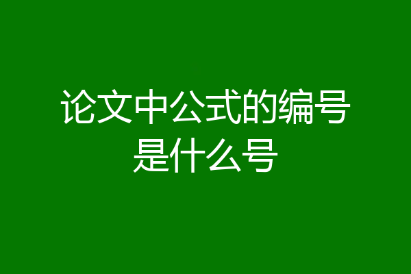 论文中公式的编号是什么号