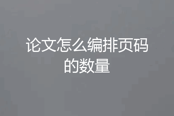 论文怎么编排页码的数量