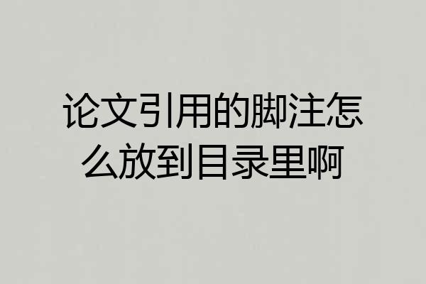 论文引用的脚注怎么放到目录里啊